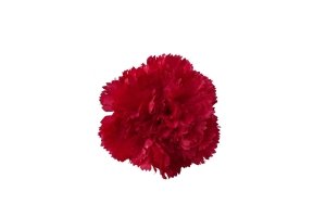 Corona de claveles para flamencas 1p