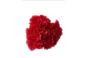 Corona de claveles para flamencas CLAVEL 5